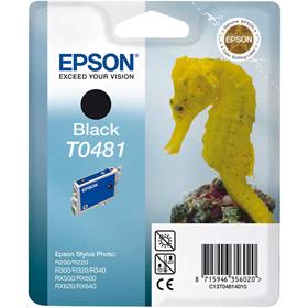 Epson T0481-C13T04814020 Orjinal Siyah Kartuş